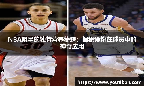 NBA明星的独特营养秘籍：揭秘镁粉在球员中的神奇应用
